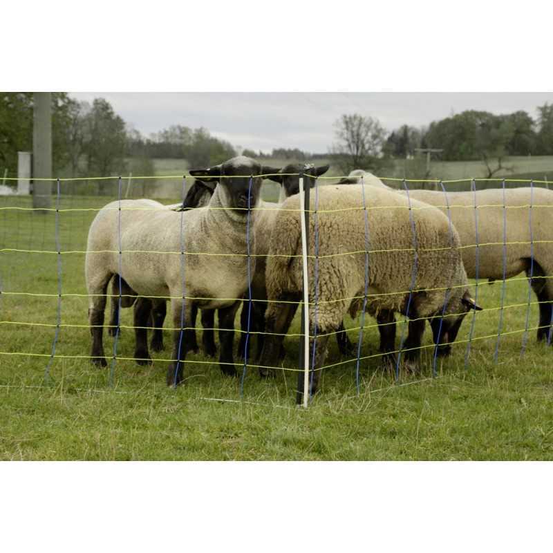 Gjeternetting Pro+ 50 Dobbel spiss