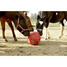 HeuBoy Feed and play ball Blue