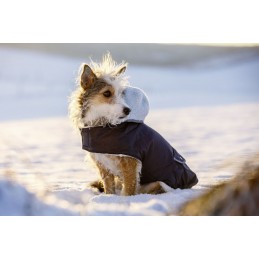 TEDDY dog coat Girth...