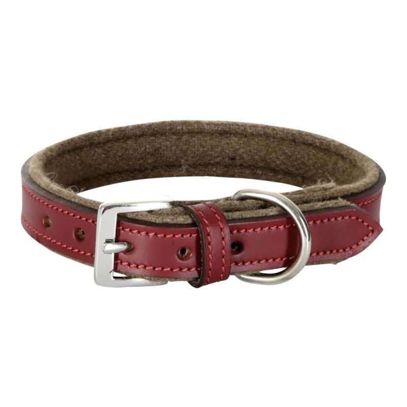 Collar Royal Pets 20mmx30-38cm
