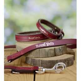 Leash Royal Pets 25mmx200cm