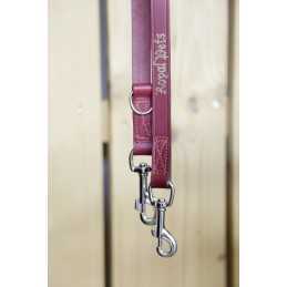 Leash Royal Pets 25mmx200cm