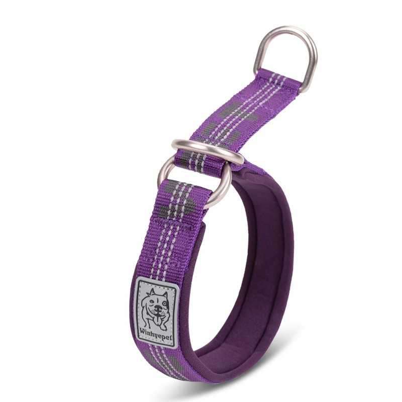 Winhyepet by Truelove Halvstrup Purple L 40-50cm