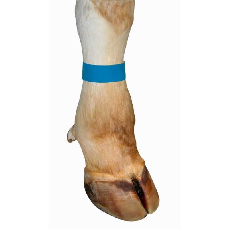 Ancle -Marking Straps blue. 10pcs