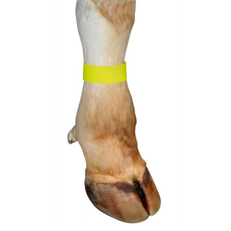 10 Ancle-Marking Straps yellow