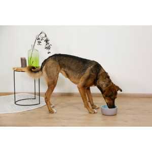 Ceramic Bowl Spirit, 1000 ml