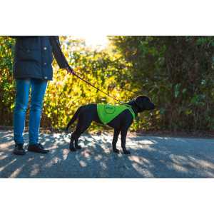 Safety Vest back length 25 cm 40-50 cm