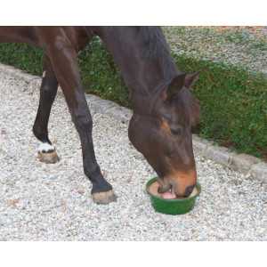 Delizia® Horse Lick Bronchial 6kg
