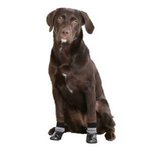 Dog Socks Susi size S