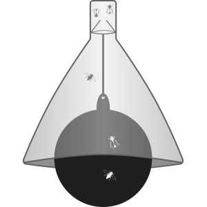 Kleggfelle TaonX