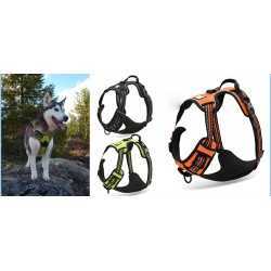 Truelove sele "X1" Lime grønn XSmal (33-43cm)