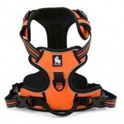 Truelove sele "X1" Orange XL (81-107cm)