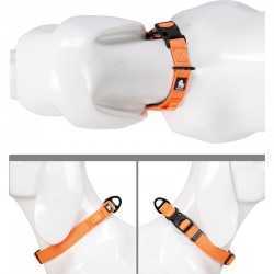 Truelove halsbånd Orange S Neopren