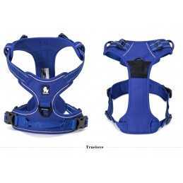 Truelove sele "X1" Royal blå Large (69-81cm)