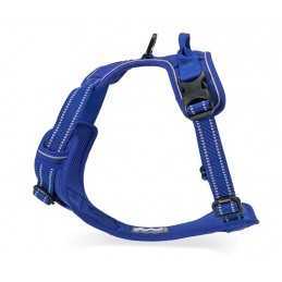Truelove sele "X1" Royal blå Smal (43-56cm)