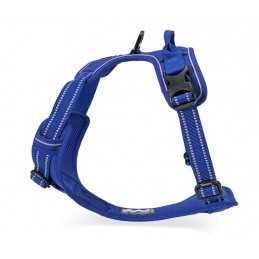 Truelove sele "X1" Royal blå Medium (56-69cm)