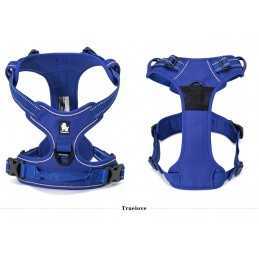 Truelove sele "X1" Royal blå Medium (56-69cm)